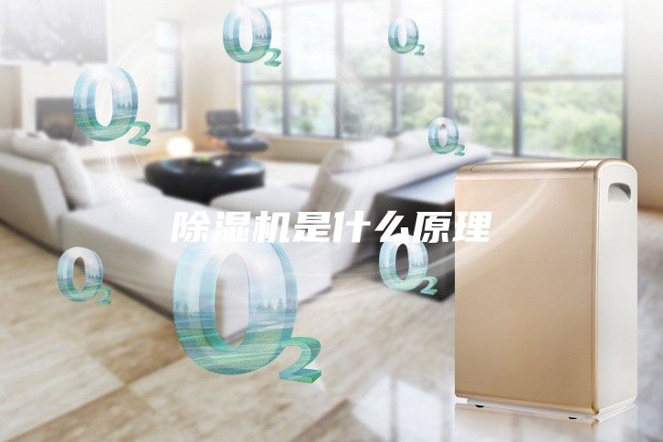 除濕機是什么原理