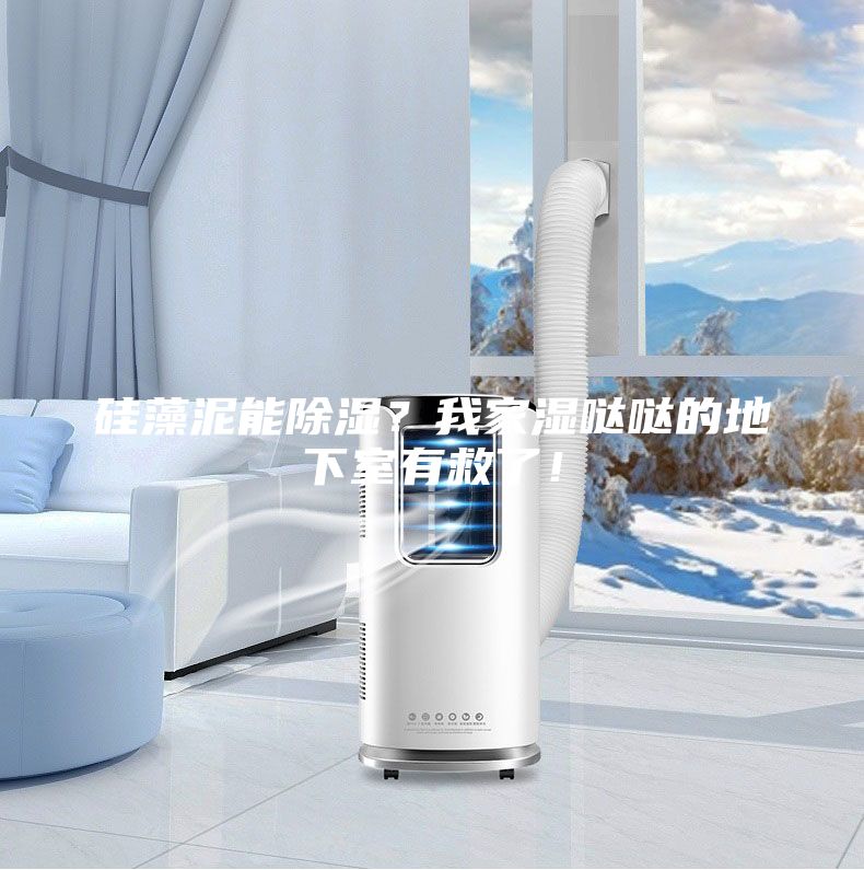 硅藻泥能除濕?我家濕噠噠的地下室有救了!